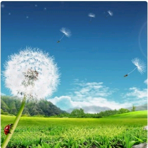 洋阳头像