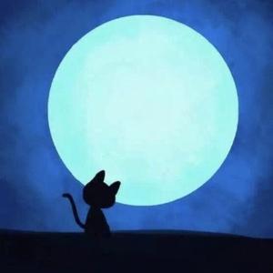招财猫的百宝箱头像
