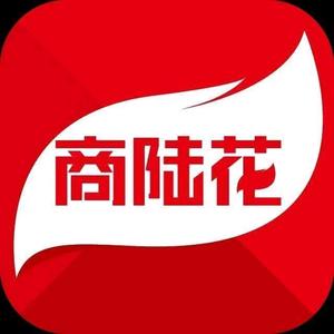 青岛商陆花头像
