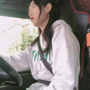 陶陶开卡车头像