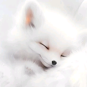 小沐白头像