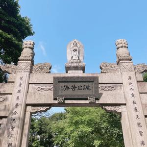 疯的自由头像