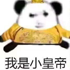 我是小皇帝头像