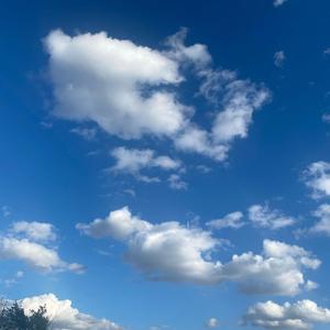 空谷回音头像