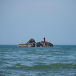 似水矫龙头像