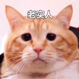 橘猫克苏鲁头像