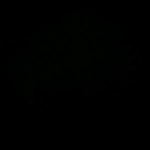 用户542383575454665265头像
