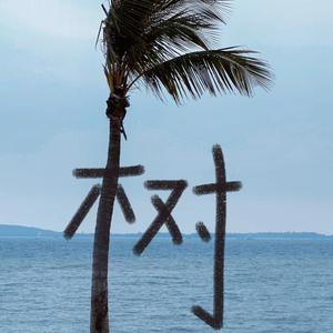 小迷糊头像