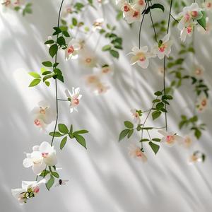 碎嘴子阿叭头像