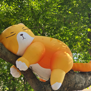 一条小锦鲤头像