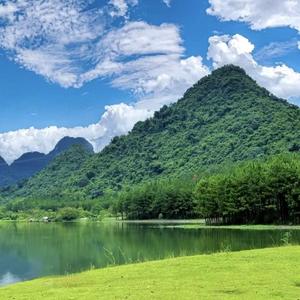 淇淇妈头像