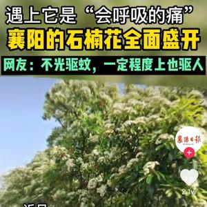 杨老师chemistry头像