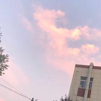 进步布雷迪12头像