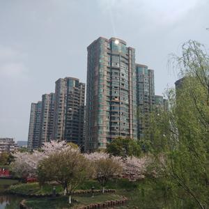 文艺安迪9t头像