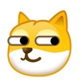 刺猬崔先生C头像