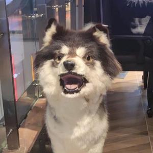 研之去问题头像