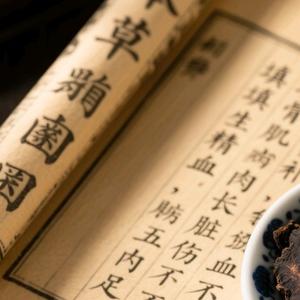 林中听松涛的宁静意头像