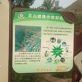 cass飞时达土方头像