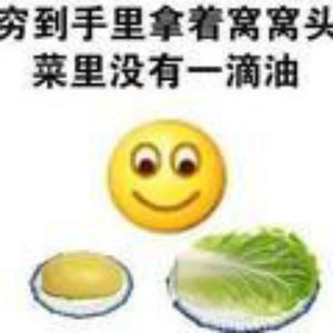 拖更的窝某头像