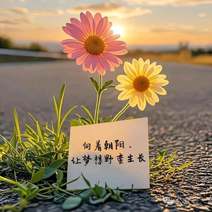 颍烃头像