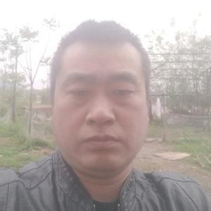 优雅聪明小鱼儿头像