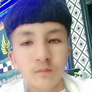 才思敏捷小鱼3z头像