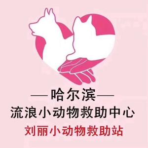 哈尔滨小动物救助中心头像