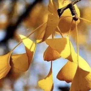 木易观察头像