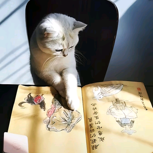 郑闲画头像