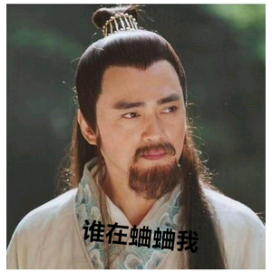 武汉段正淳(重生铁衣)头像