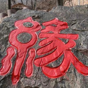 幸福贾老四头像