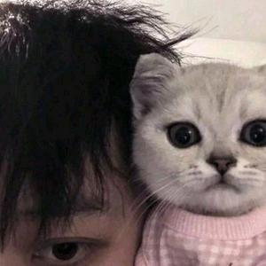 爱与诚头像