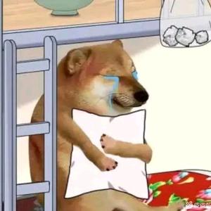 炉石小续头像