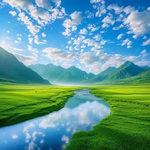 敏锐春风RN头像