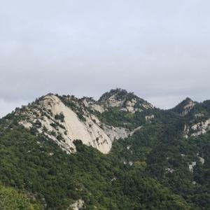 用户8779212138011头像