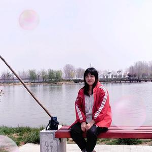 布知道31头像