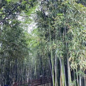 得意私房菜头像