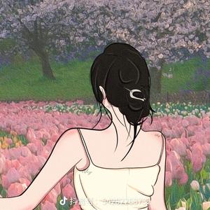 真爱西红柿 头像