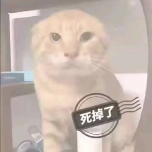 cnXXM头像