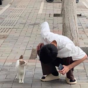 番茄3573831622998878头像