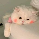 如果的事yl头像