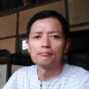 自在山雀k头像