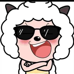 暴躁小丁头像