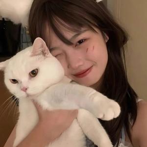 鸢语头像