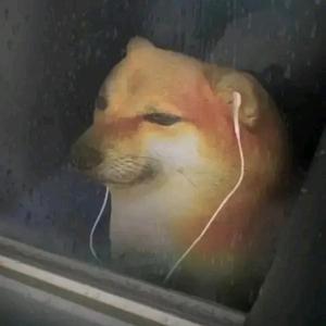 扣诺惨仔哒头像