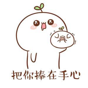 张晋豪306头像