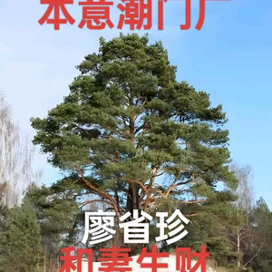 赣州本意潮门厰东山坝廖头像