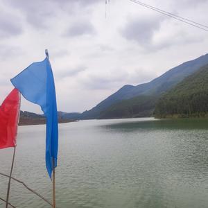 朱说新语头像