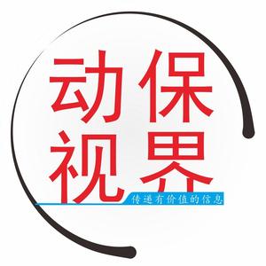 花田赏雏菊头像