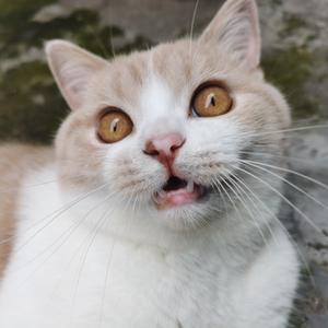 番茄101257564242 头像